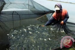 DKP Bantu Pembudi Daya Ikan Urus Sertifikat
