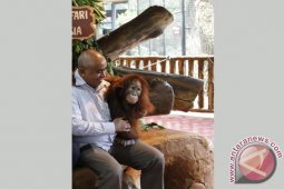 Mentan Timor Leste Kunjungi Taman Safari Indonesia