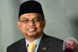 PLN Diminta Sewa Genset Antisipasi Pemadaman Bergilir