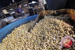 Gejolak rupiah membuat perajin tempe terancam bangkrut