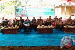 UJI ADAPTASI BAWANG PUTIH