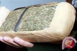 Polisi Gagalkan Penyelundupan Ganja Tujuan Pekanbaru