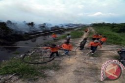 Kerugian kebakaran lahan gambut Jambi Rp716 miliar