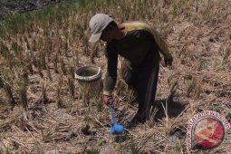 48 Kelompok Tani Surabaya akan Pamerkan Produk