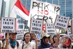 Pengamat Minta Pemerintah Beri Instruksi Terkait PHK