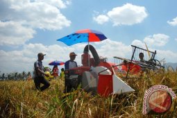 Bulog Bondowoso Miliki 22 Mitra Untuk Serapan Gabah
