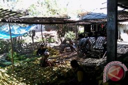 Pemkab Pamekasan Pantau Tata Niaga Tembakau Madura