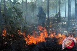 Polda Jambi usut perusahaan bakar lahan