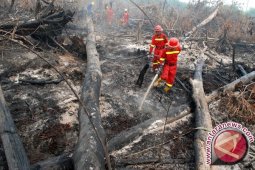Hampir semua Pulau Sumatera tertutup asap