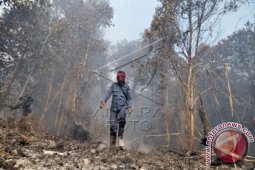 Willem Rampangilei Kepala BNPB Yang Baru