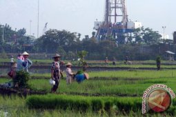 Petrochina Optimstis Produksi Minyak Sukowati Meningkat