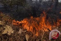 Polda Jambi periksa saksi pembakaran hutan