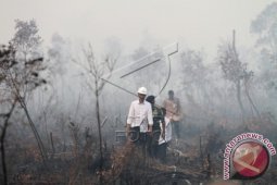Presiden dijadwalkan ke Jambi pantau kebakaran