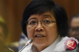 Norwegia dukung pengelolaan hutan dan lingkungan Indonesia