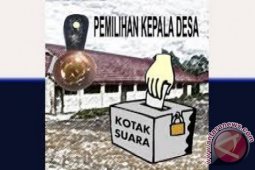 692 Warga Taput Ikut Pilkades Melalui SK Bupati