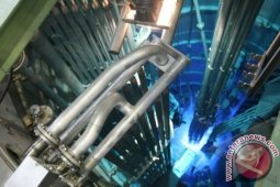 Pembangunan Pembangkit Listrk Tenaga Nuklir Perlu Penelitian