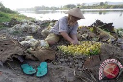 Warga Tujuh Kecamatan di Bojonegoro Lunasi PBB
