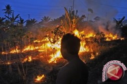 Polda Jambi tetapkan 20 tersangka pembakaran hutan