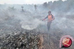 33.745 hektare gambut Jambi terbakar