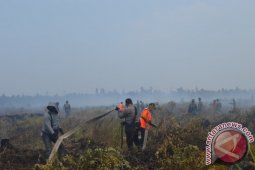 Kapolda Kalbar Tinjau Kebakaran Lahan di Ketapang
