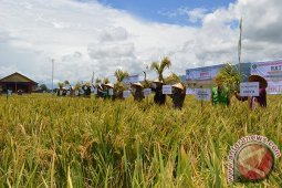 Aceh Wujudkan Lumbung Pangan Nasional