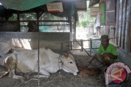 Pertamina EP Berencana Lanjutkan Pembinaan Warga Tuban