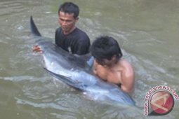 Pemerintah Diminta Tertibkan Penangkapan Ikan