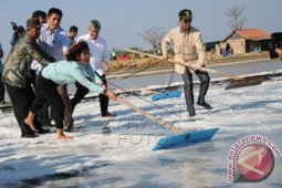 Sebagian Petani Pamekasan Produksi Garam dengan Rumah Kaca