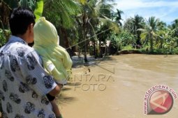 Ratusan Rumah Terendam Banjir di Aceh Selatan