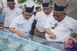 Peluncuran Marina Boom Banyuwangi