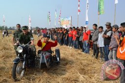 "Moge" Masuk Sawah