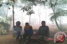 Dikepung Kebakaran Lahan, Warga Transmigrasi Mengungsi