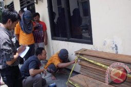 TNKS Rejanglebong selidiki pelaku pembalakan liar