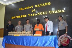 Polisi Ringkus Bandar Ganja 25 Kg