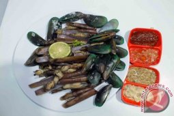 Lezatnya Aneka Kerang yang Menggoyang Lidah