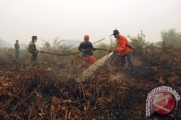 hot spot` di Jambi terdeteksi 198 titik
