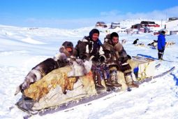Mutasi Gen Jelaskan Adaptasi Inuit  pada Diet Berlemak Tinggi