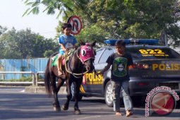 Jasa Tunggang Kuda