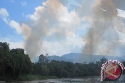 Pembakar Lahan Diancam Denda Rp10 Miliar