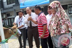 Pelindo Banjarmasin Salurkan Hewan Kurban