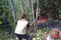 Kebakaran Suaka Margasatwa Cikepuh Terparah Tahun Ini