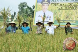 Wali Kota Tebing Tinggi Panen Padi  Perdana