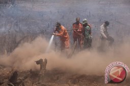 364.8 hectares land burned in Banjar