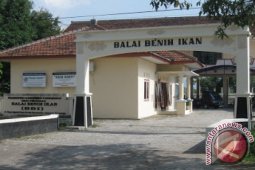 DKP Rencanakan Bangun BBI di Teluk Kelabat