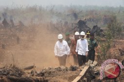 Kunjungan Presiden Ke Banua