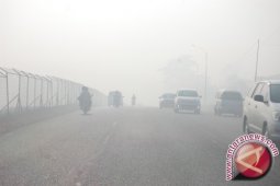 Kapolda Babel: Titik Api Masih Bisa Diantispasi