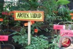 Tanaman Obat Keluarga Warga Tangerang Tembus Nasional