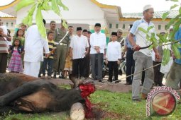 Pemkab Asahan Sembelih 90 Hewan Kurban