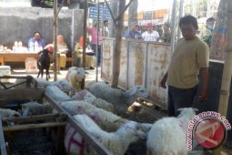 Dinas Peternakan Bojonegoro Bagikan Enam  Sapi