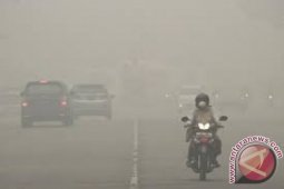 Kabut asap di Jambi kembai pekat